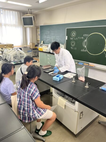 わくわく実験教室